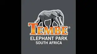 Tembe Elephant Park