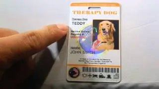 Holographic Therapy Dog ID Review By: XpressID