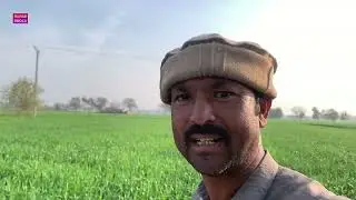 Amare, Paas, Ek, Bada, Rana, Hai, Nawab Dhola ￼