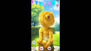 Talking Ginger Live Streaming