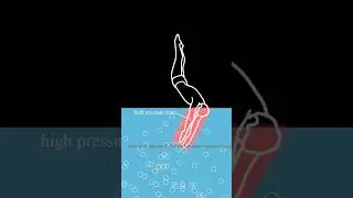 How to effectively land in Water #diving #divingsafety #swimming  #jumpinwater #world