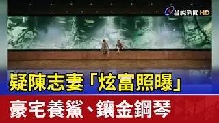 疑陳志妻「炫富照曝」 豪宅養鯊.鑲金鋼琴