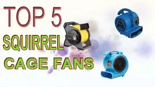 Best Squirrel Cage Fans 2020 - Top 5 Squirrel Cage Fan Review.