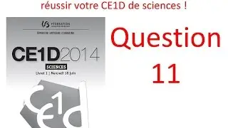 Correction du CE1D Sciences de 2014 en vid&eacute;o - Question 11