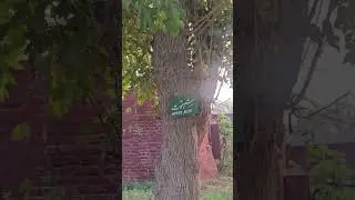 Gutwala Wildlife Park Faisalabad Pakistan