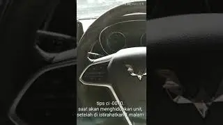 Cortezian Tips 