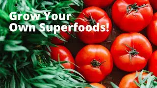 Grow Your Own Antioxidants in the Garden