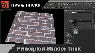 Houdini Principle Shader Trick