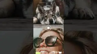 MixCam - Front and Back Camera for Android