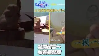 日月潭超奢華遊艇Buffet！！🚢😍【請問 今晚住誰家】#shorts