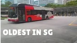 (Now Extinct) Singapore's Oldest Bus Advertisement - Lifebuoy