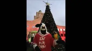 Sugar Land Texas Christmas Festival Tiki Macaw