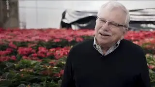 Supporting a CSU Treasure: The Annual Flower Trial Garden