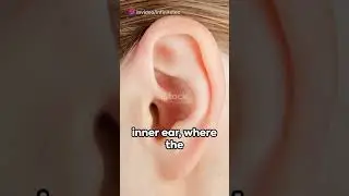 How Do We Hear?