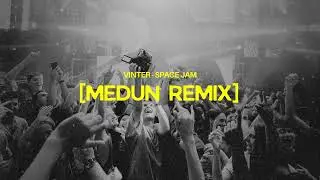 Vinter - Space Jam (MEDUN Remix)