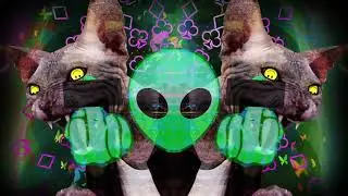 TIMMS Itsy Bitsy Lyric Video