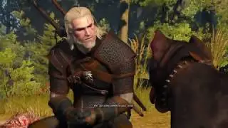 The Witcher 3: A dog's life