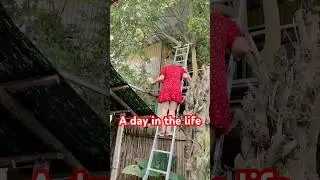 Fruit picking- A Day in the Life! #fruitpicking #fyp #fypシ #fypシ゚viral #fypyoutube