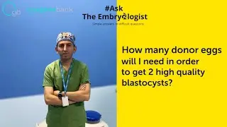 How many donor eggs will I need in order to get 2 high quality blastocysts?