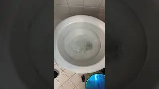 Calcified Rim Jets?