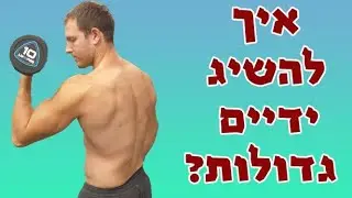 איך לבנות ידיים גדולות בקלות ובמהירות!