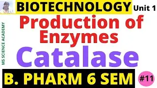 Catalase-Production of Enzymes-Biotechnology-Unit 1- B. Pharmacy 6 Sem-Lect.11