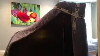PIANO MOVERS EXPERT