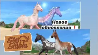 ОБНОВЛЕНИЕ!ТЕЛЛИНА И КАМПОС😻