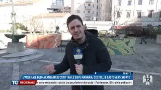 TG REGIONALE | 02/02/2026