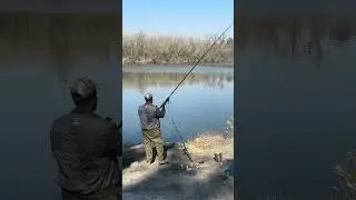 You must have courage to Fish 🎣