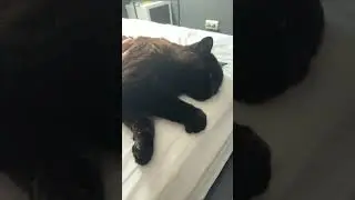 He started making biscuits 🥹