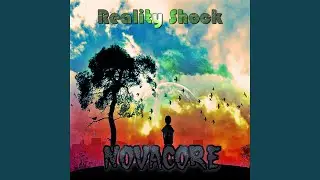 Reality Shock