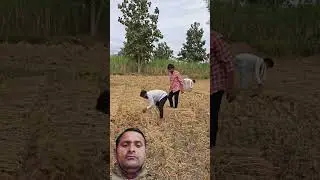 #farming #funny #ekmotahathighumechala #comedymovies #armerabhulnahijanare #funnycomedy