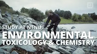 Master i Miljøtoksikologi og naturmiljøkjemi I NTNU i Trondheim