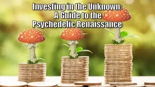 Investing in the Unknown: A Guide to the Psychedelic Renaissance