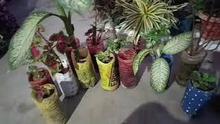 January me Ghar se nikle bekar colddrink ki bottles me dhero free ke sunder plants lagayn#viral#