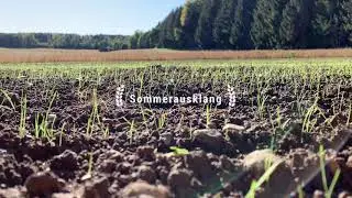 Sommerausklang/52 Sekunden September pur