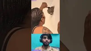 Mission Failed 😂 #facts #ytshorts #youtubeshorts #shorts #funny #funnyanimals @vibemood9