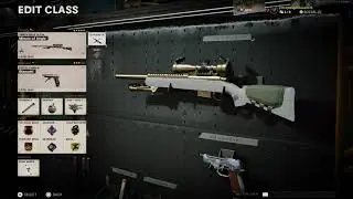 Call of Duty Black Ops CW Diamond Camos SR Class