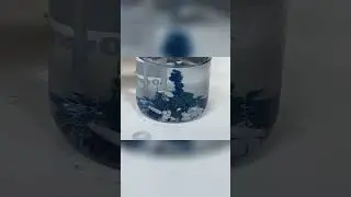 What Happens When Mixing Sodium Silicate with Metal Salts? 🧪✨