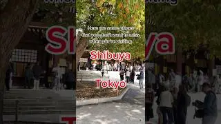 Places that you don&rsquo;t want to miss for food and drinks and Shibuya, Tokyo in Japan! #japanesefood