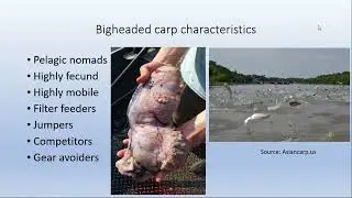 General Session: U.S. Fish & Wildlife Service ANS Small Grants Program (5)