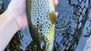 Fly Fishing New Jersey