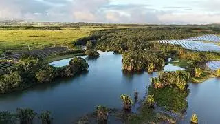 Tamarin Falls Lake