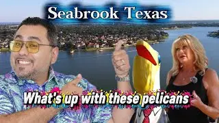 Life in Seabrook Texas Coastal Living Local Art and Homes | American Dream TV on CNBC