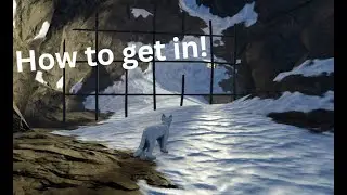 How to Get Into the WCUE Stonewardens Camp! (2025)