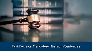 Task Force on Mandatory Minimum Sentences January 9, 2026