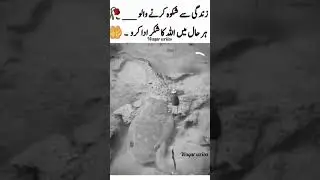 Har hall main Allah ka shukar adda karain❤️🥀#viralshorts #viralreels #subscribe#shortsfeed