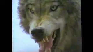 HUNTERS: NATURAL BORN KILLERS Videotape Compilation infomercial, 1995