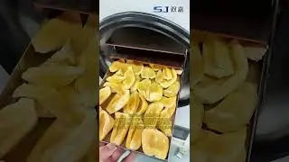 Jackfruit freeze dryer small household fruit freeze drying equipment #freezedryer #foodstorage